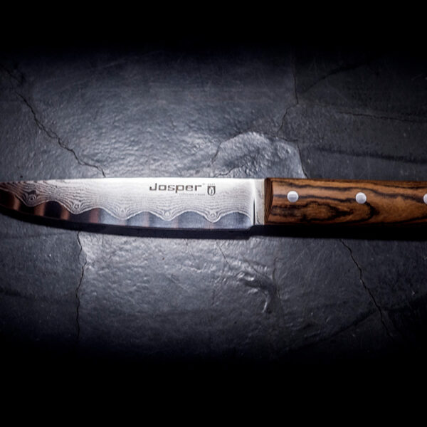 Μαχαίρι φιλεταρίσματος Josper 20 cm